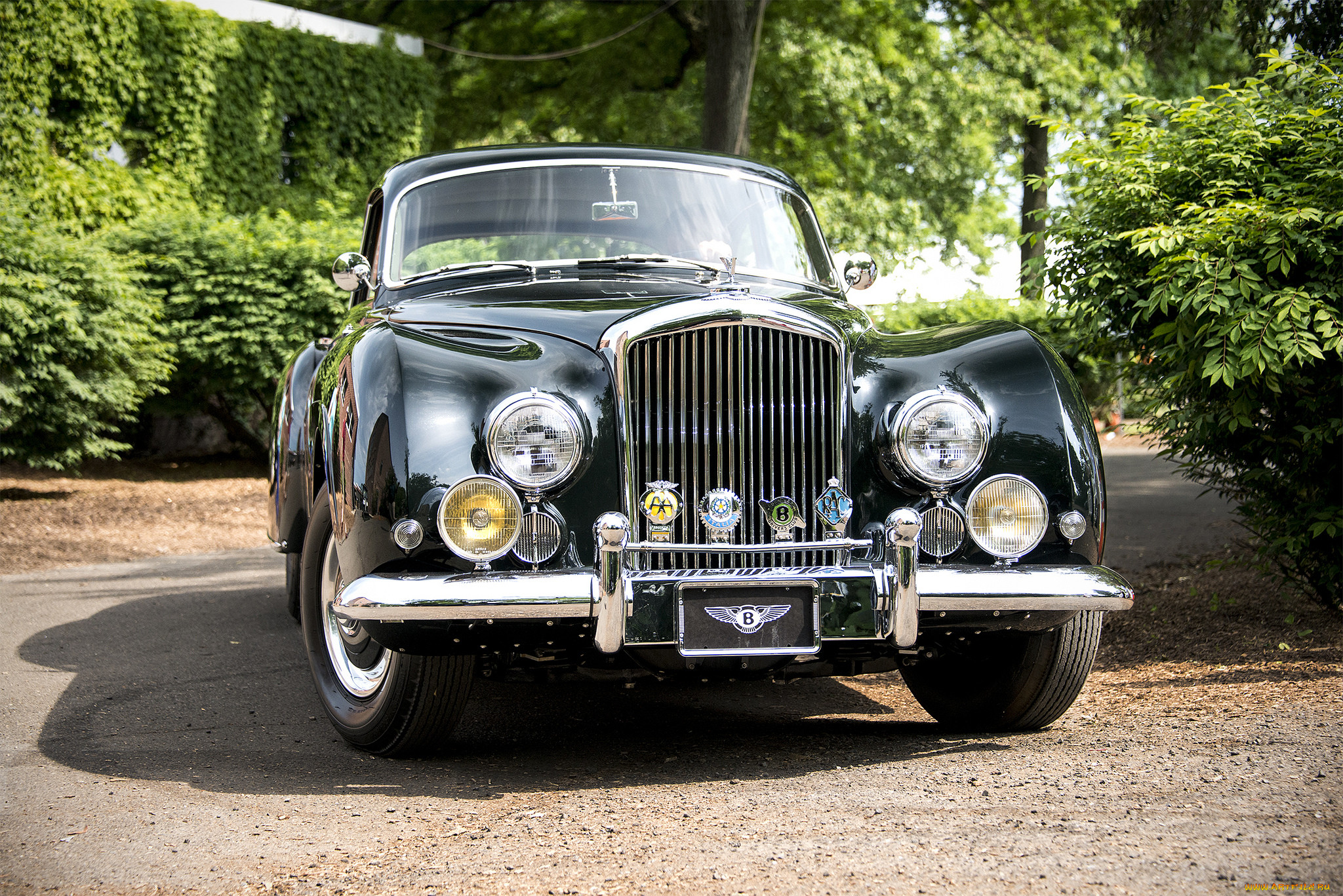 bentley continental, , bentley, , , 